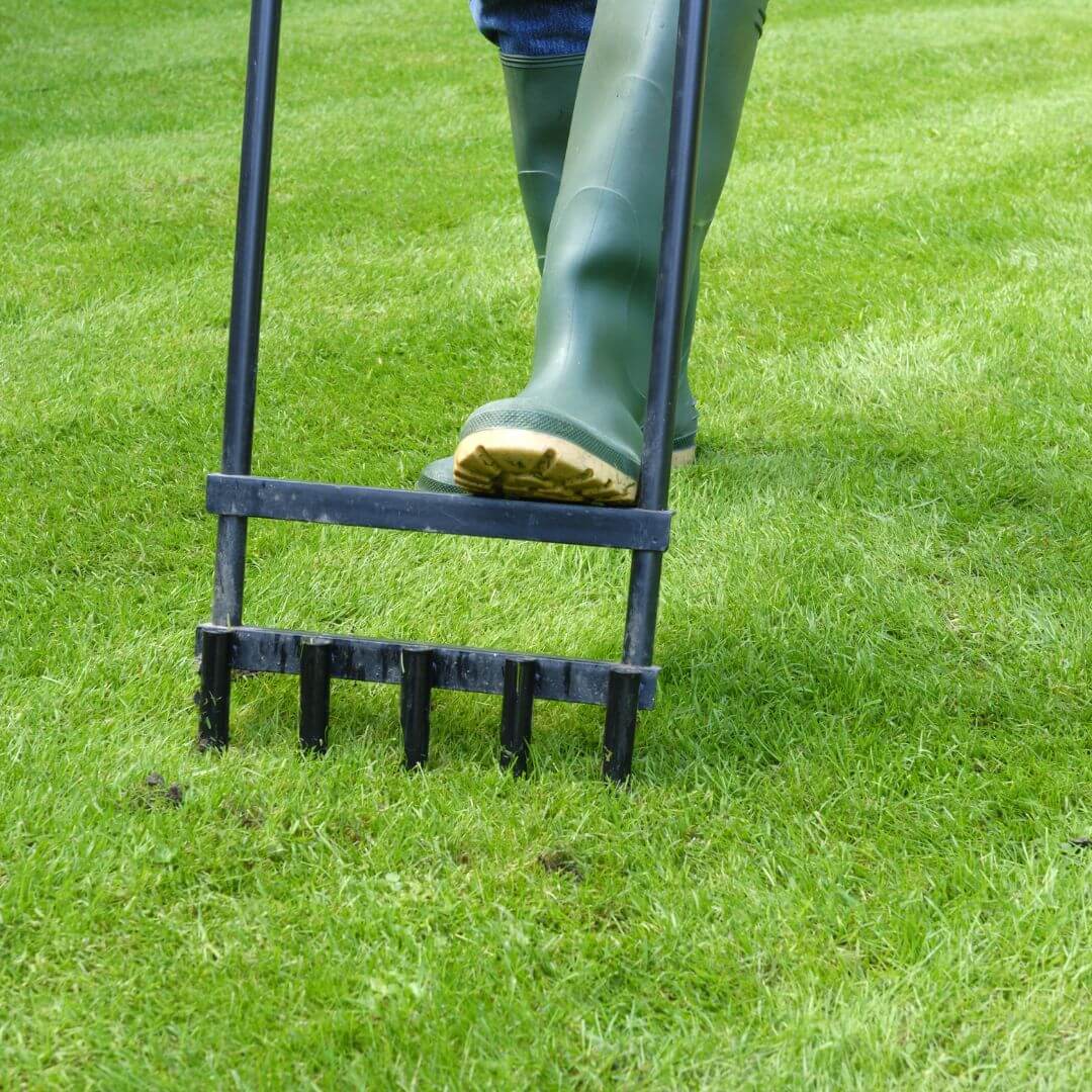 Lawn care specialist aerating lawn.