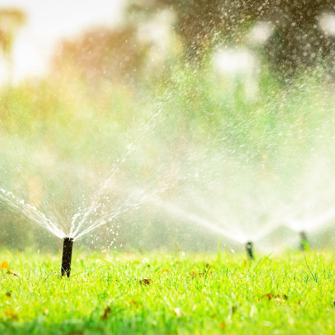 lawn sprinklers