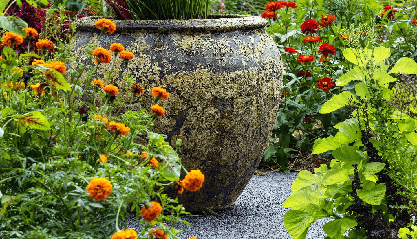 plants-that-repel-mosquitos-simply-green