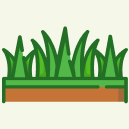 Bermuda & Zoysia Lawn Care