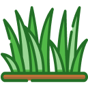 Grass